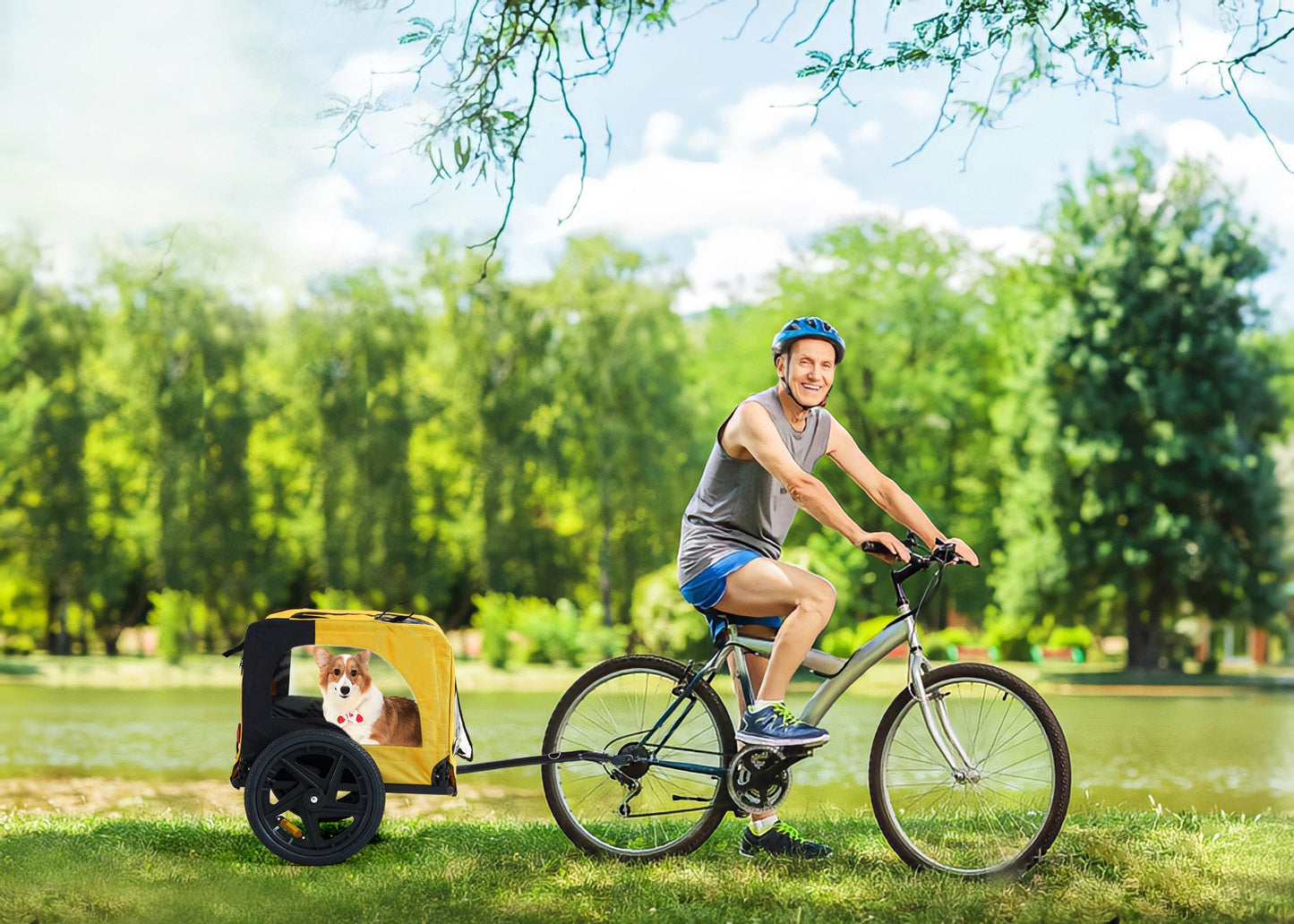 The Golden Roam Stroller
