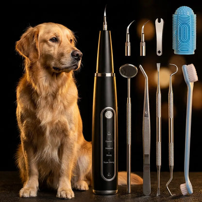 The Pure Dental Kit