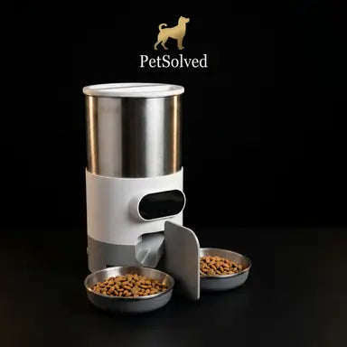 The Dynasty Feeder
