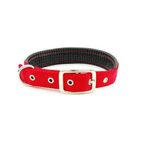 The Reign Collar