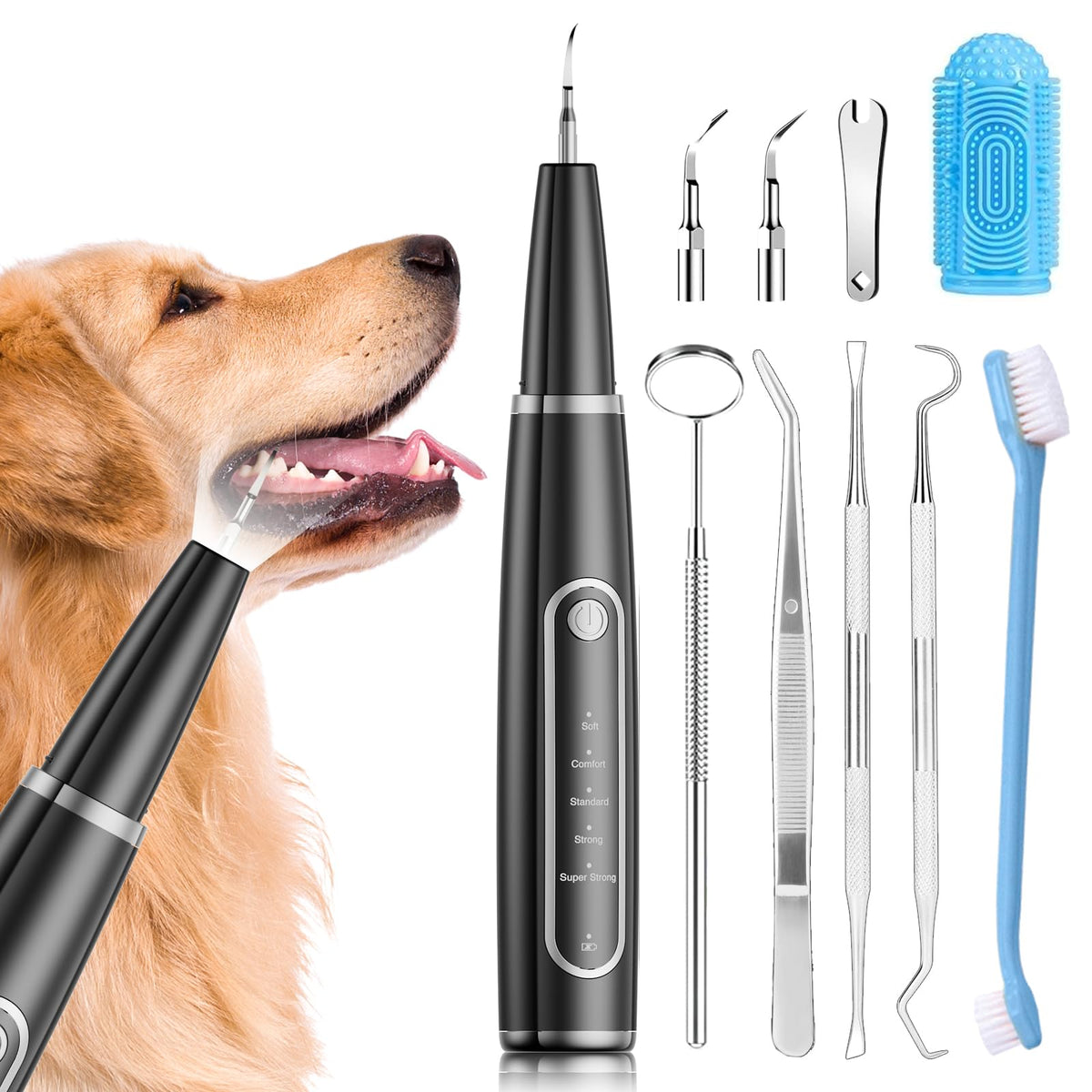 Dog dental care tools including a scaler, mirror, probe, and brush on a white background.