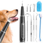Dog dental care tools including a scaler, mirror, probe, and brush on a white background.