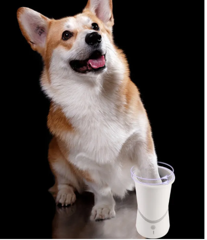 The Pure Paw Wash