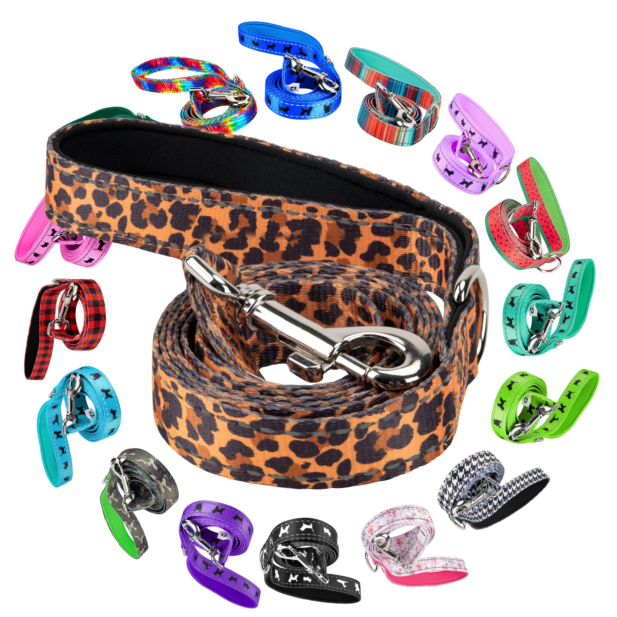 The Wild Stride Leash