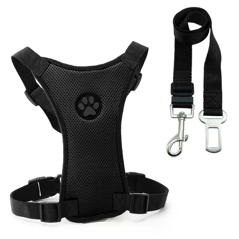The Aero Safety Harness