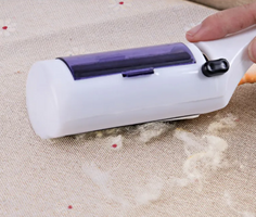 The Clean Sweep Brush