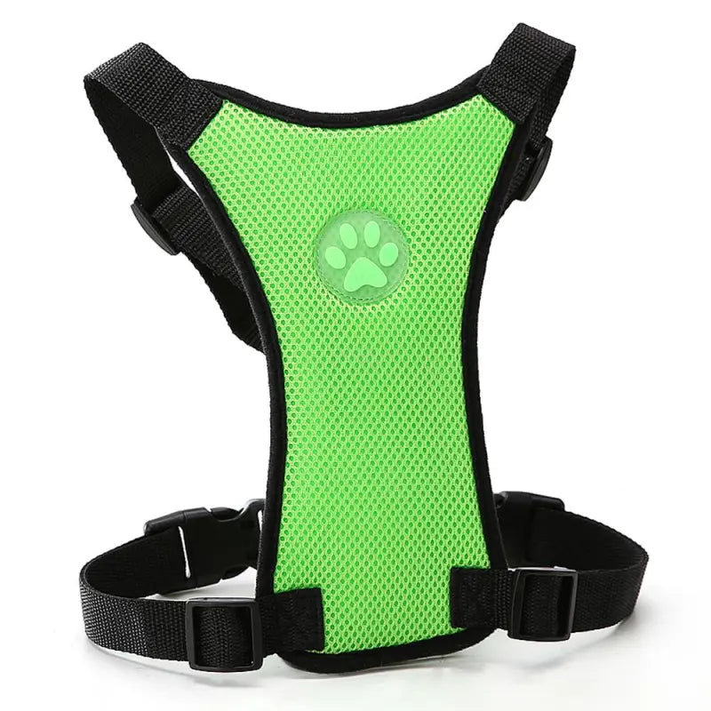 The Aero Safety Harness
