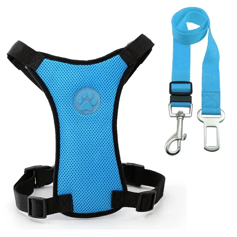 The Aero Safety Harness