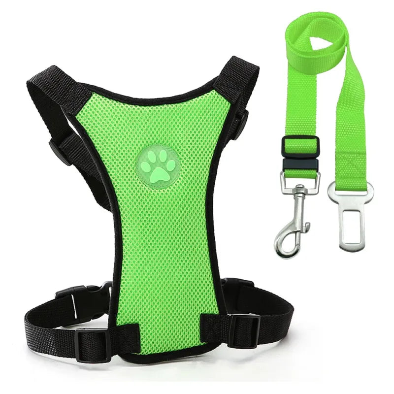 The Aero Safety Harness