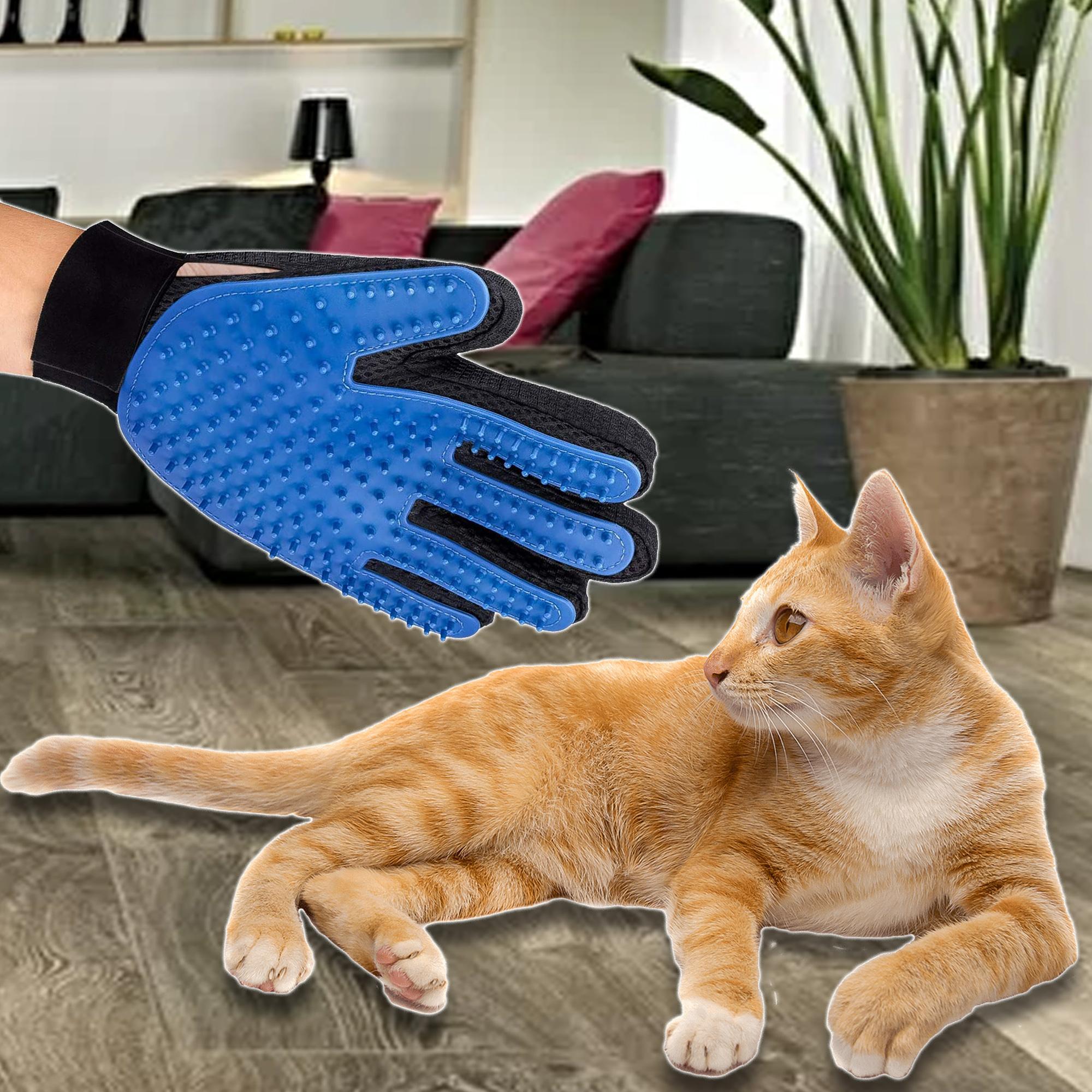 The Silk Touch Mitt