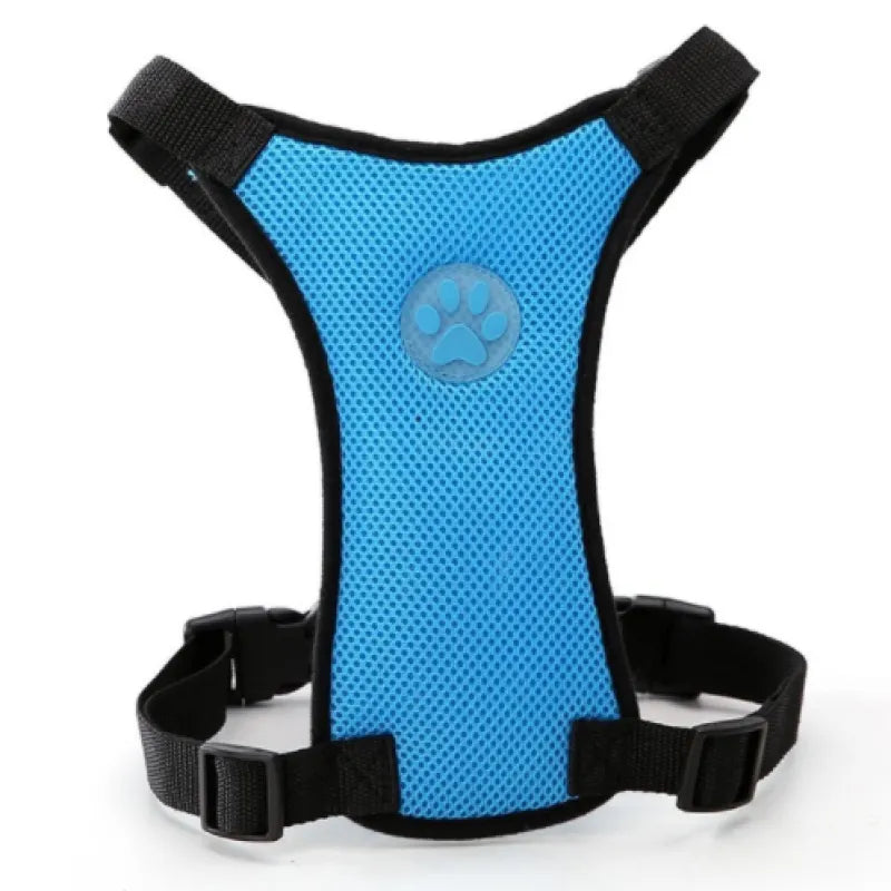 The Aero Safety Harness