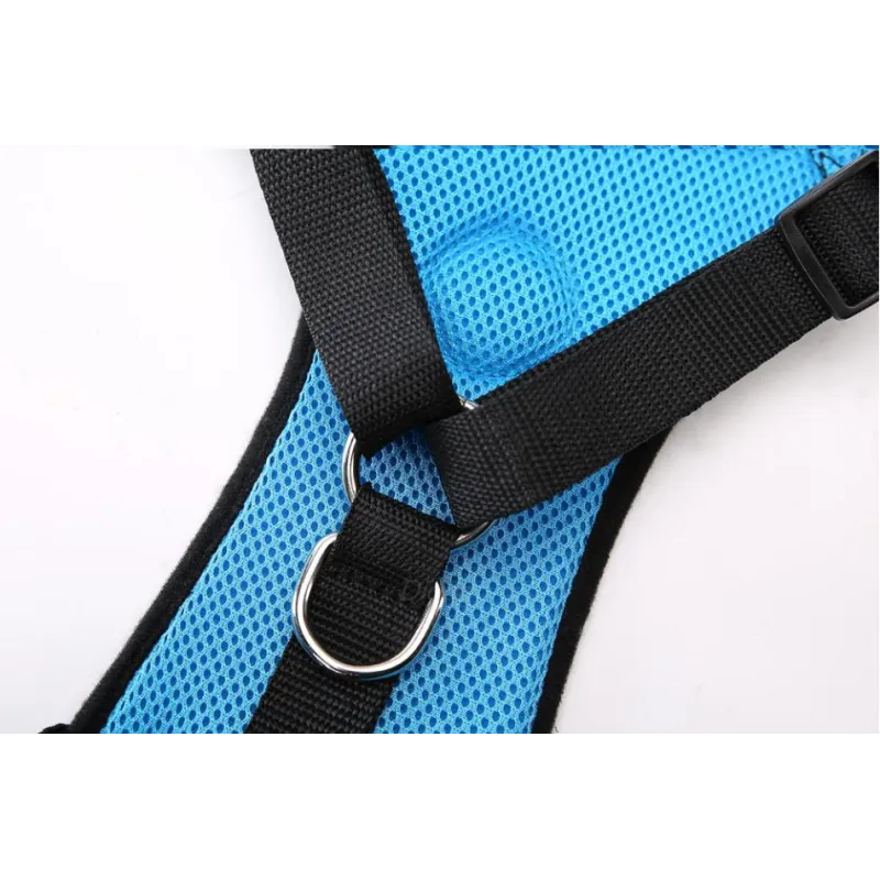 The Aero Safety Harness