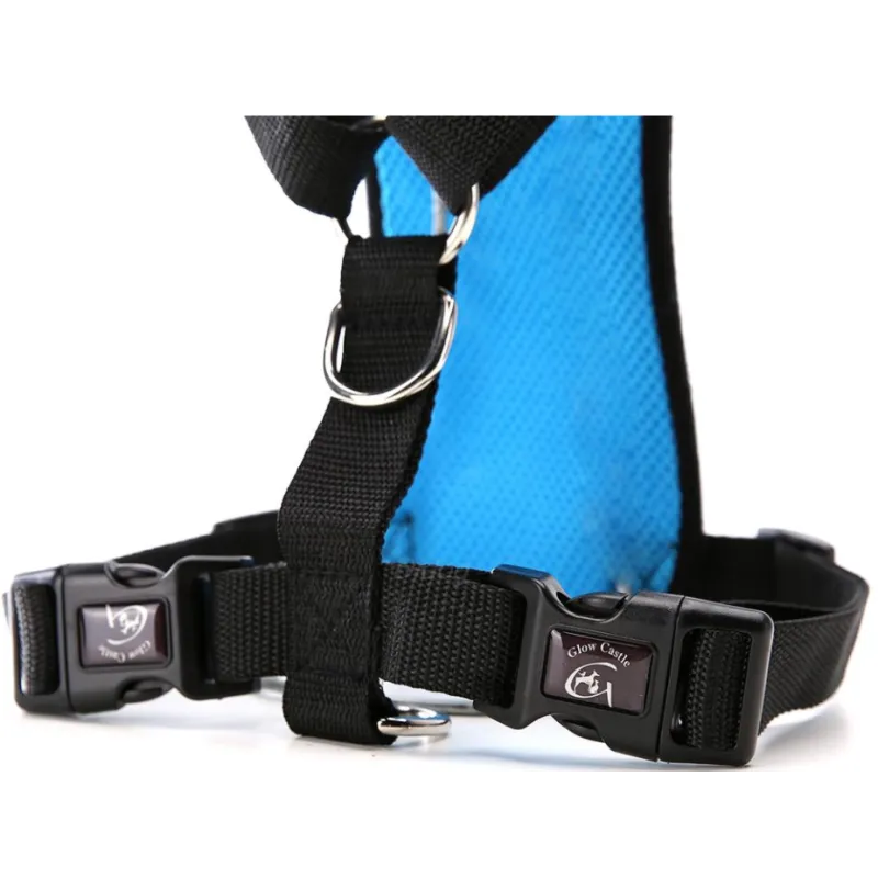 The Aero Safety Harness