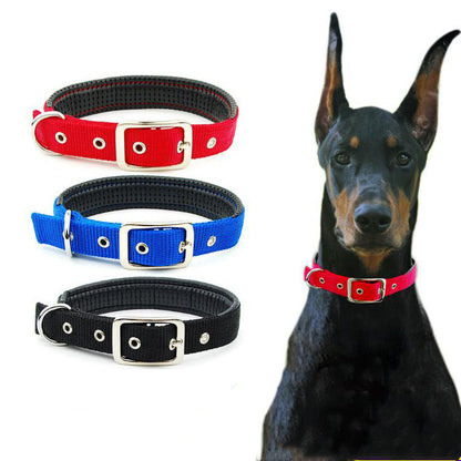 The Reign Collar