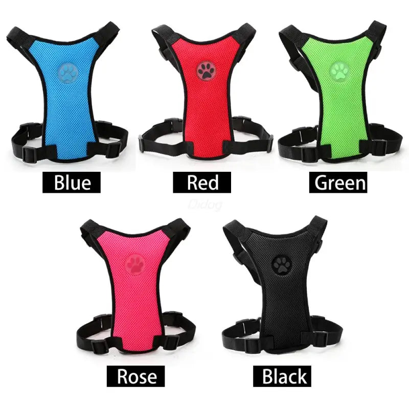 The Aero Safety Harness