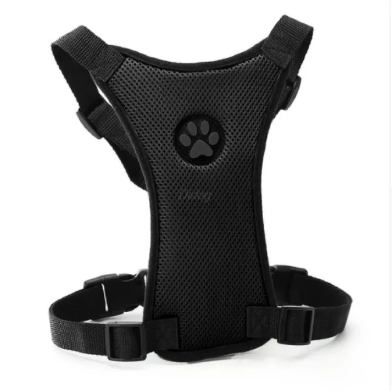 The Aero Safety Harness