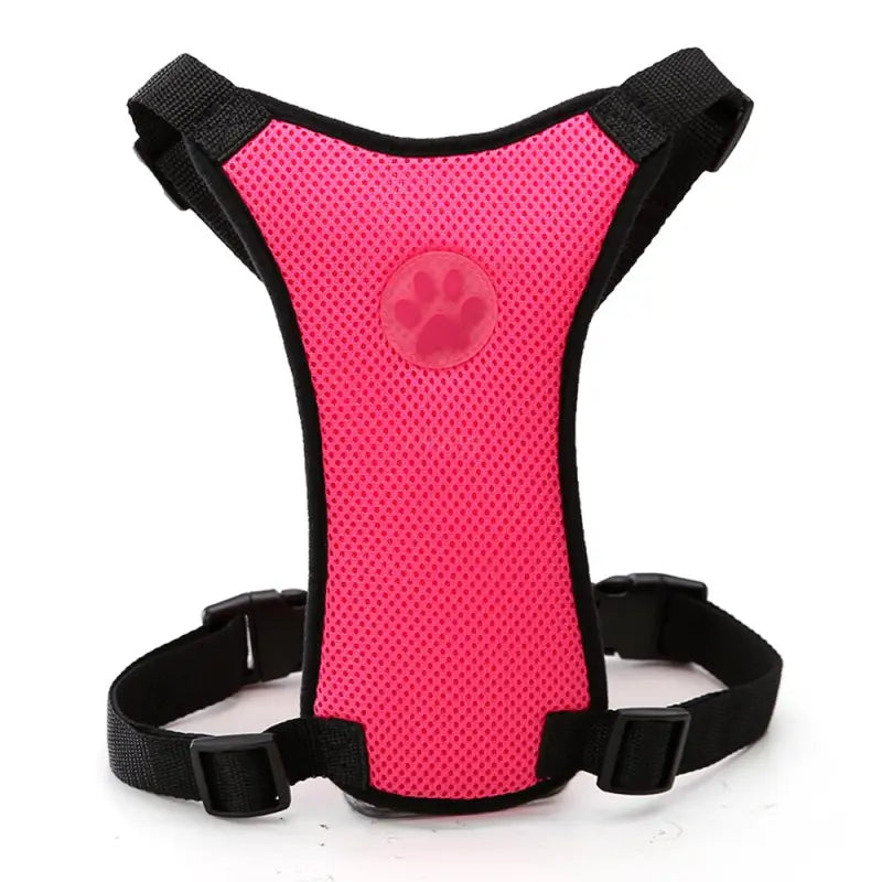 The Aero Safety Harness