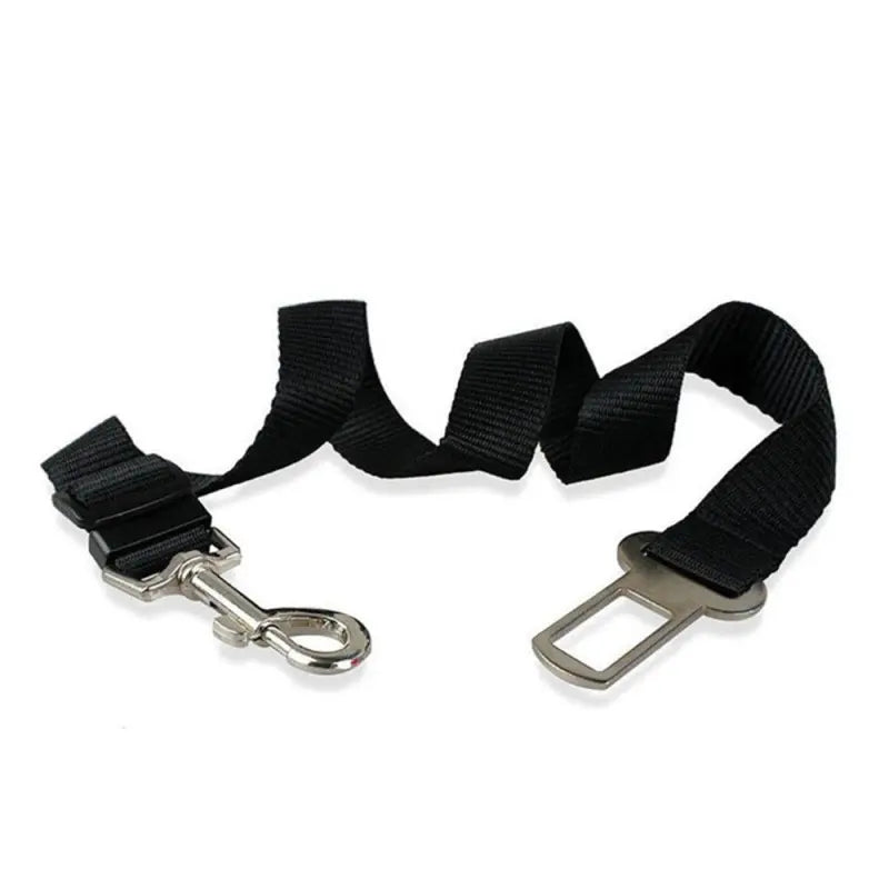The Aero Safety Harness