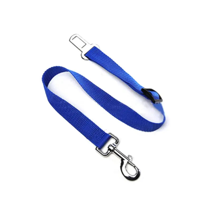 The Aero Safety Harness