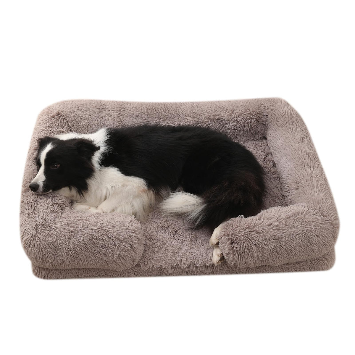 The Latte Comfort Bed
