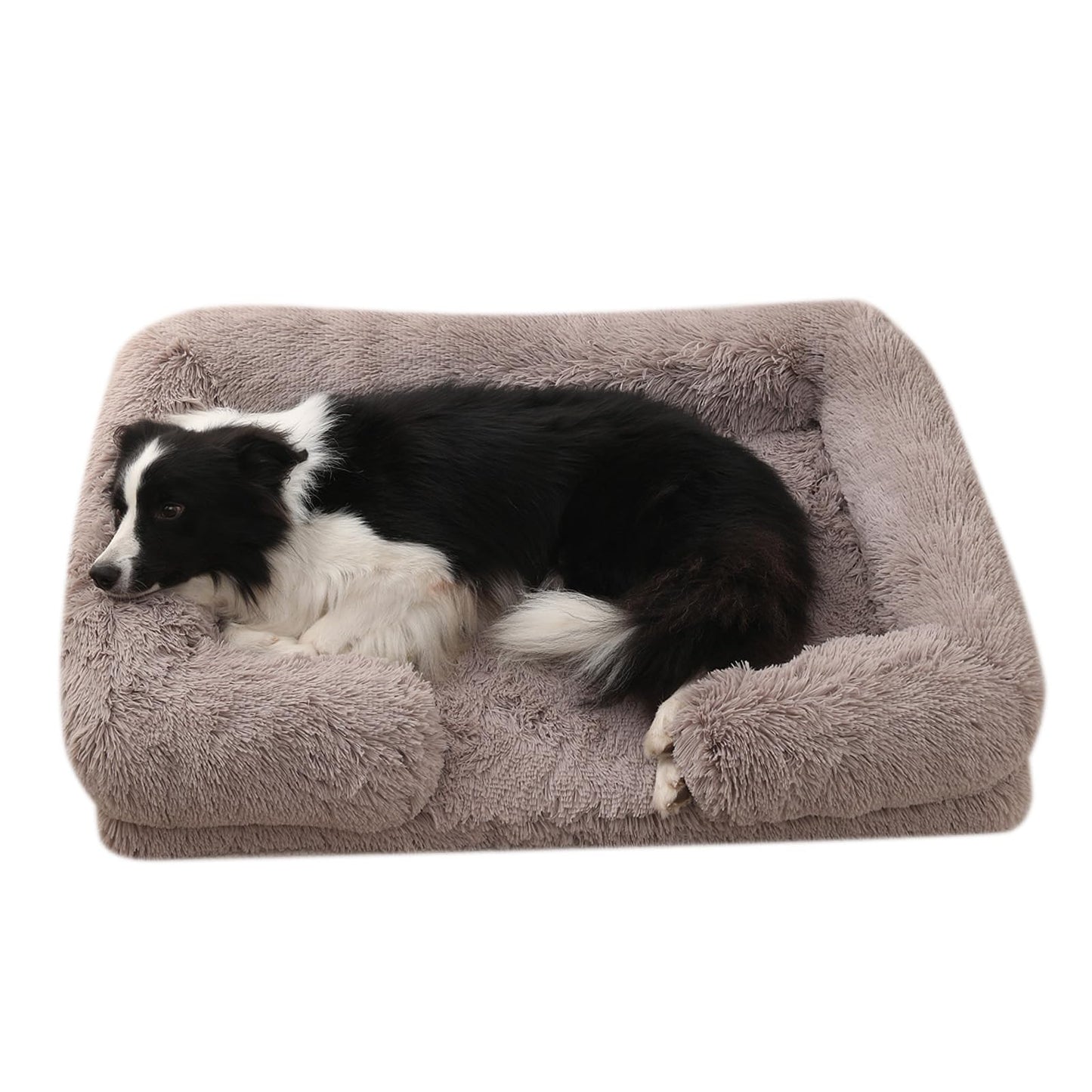The Latte Comfort Bed