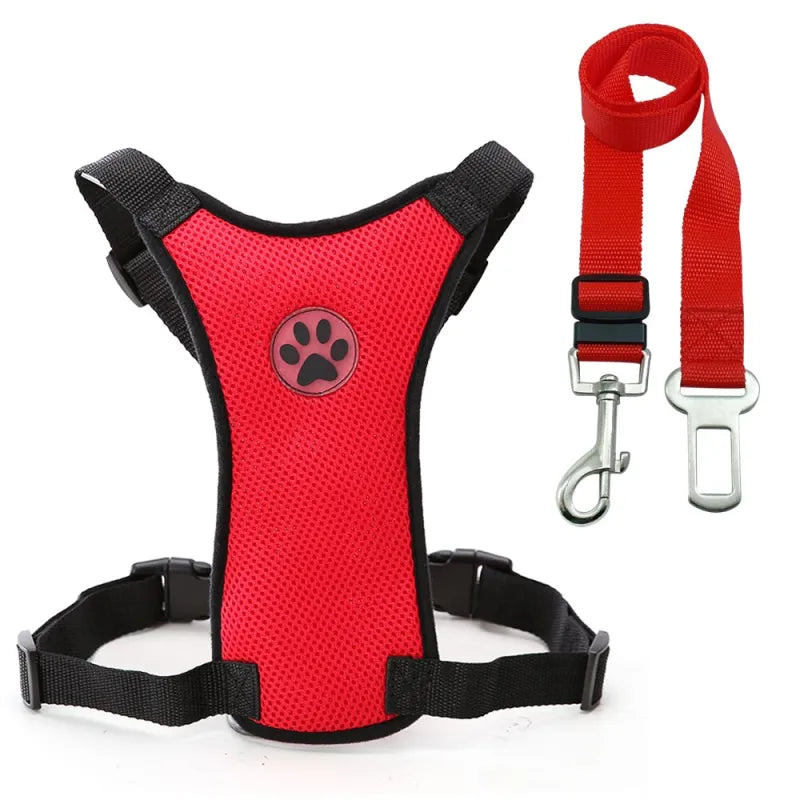 The Aero Safety Harness
