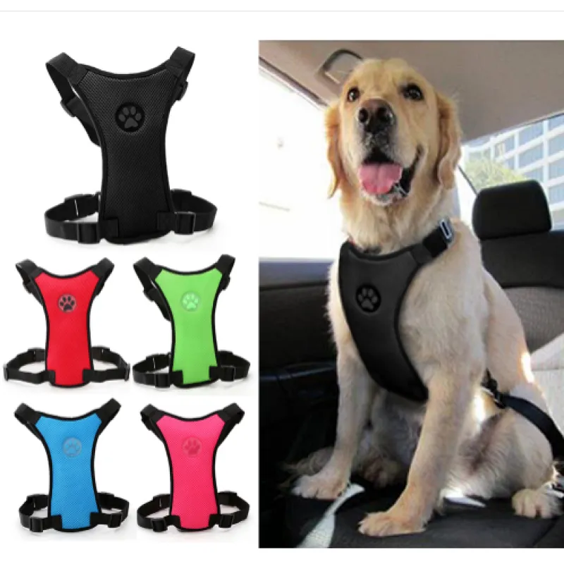 The Aero Safety Harness
