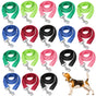 Set of colorful dog leashes with a dog at the bottom right corner on a white background