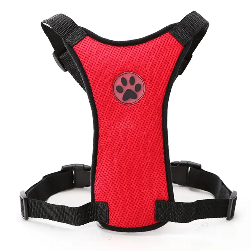 The Aero Safety Harness