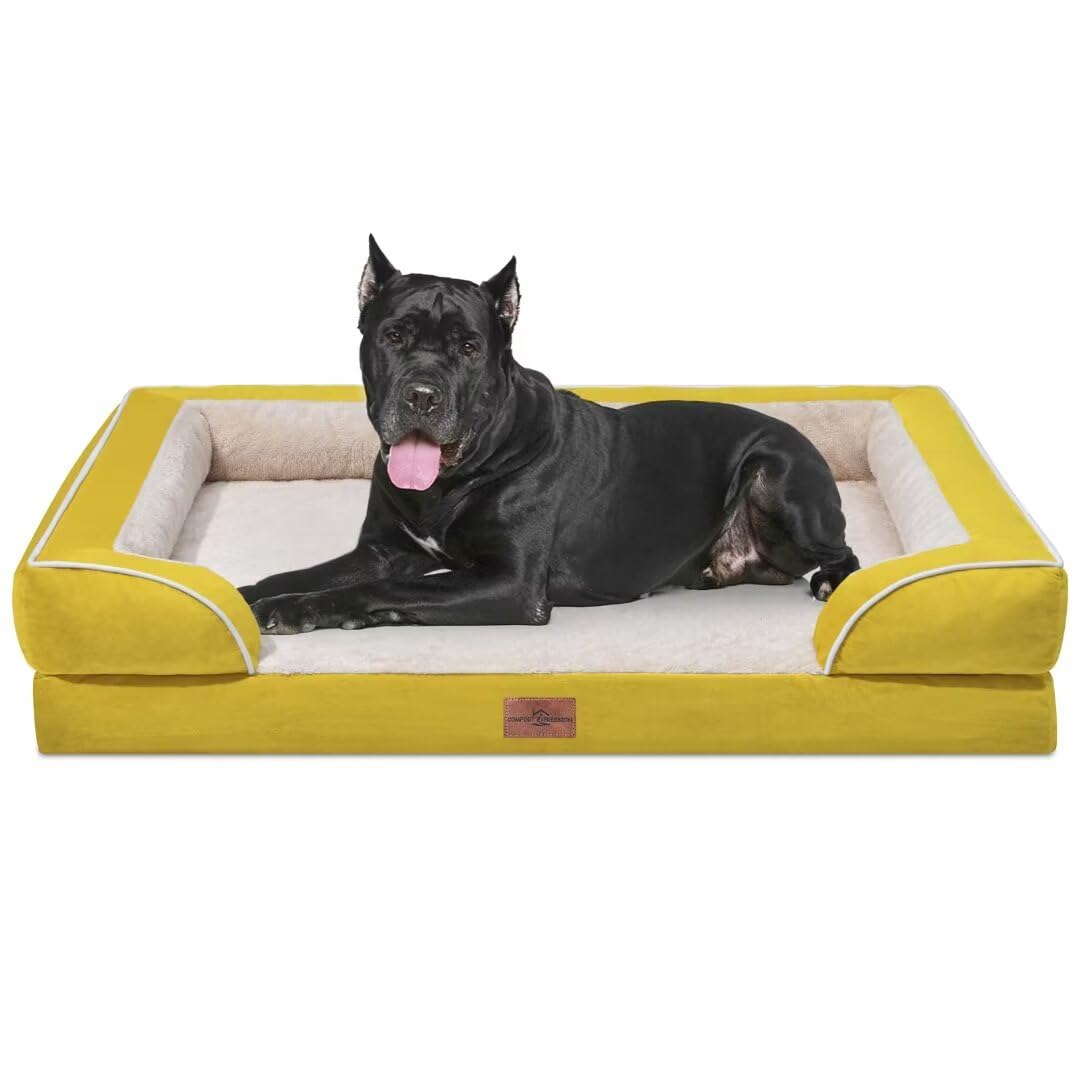 The Sunbeam Lounger
