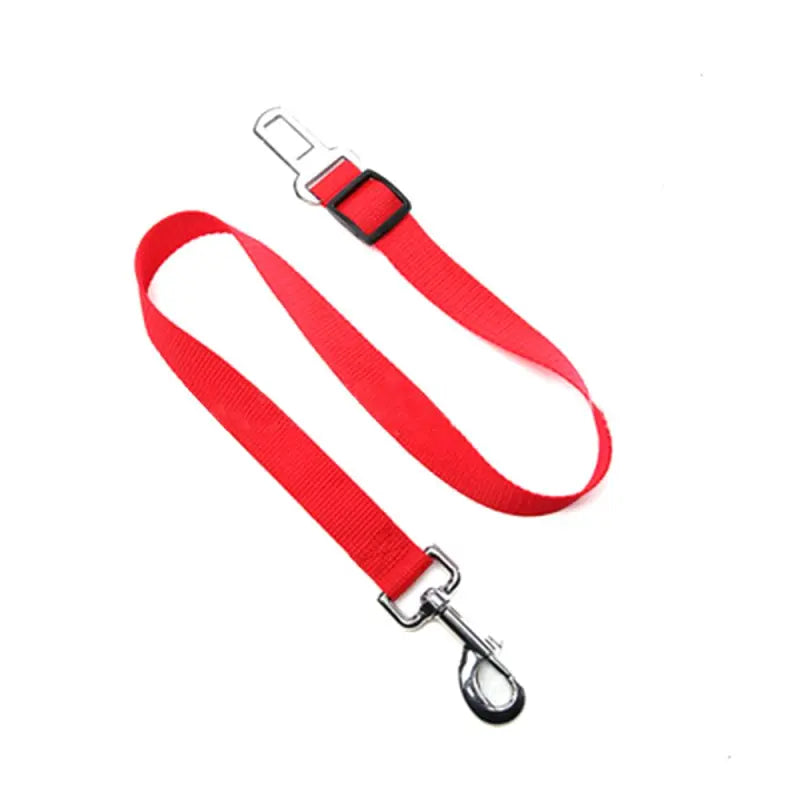 The Aero Safety Harness